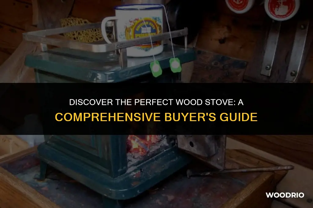 what is best wood stove