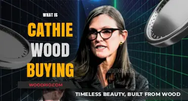 Cathie Wood's Latest Buys: Uncovering Her Top Investment Picks