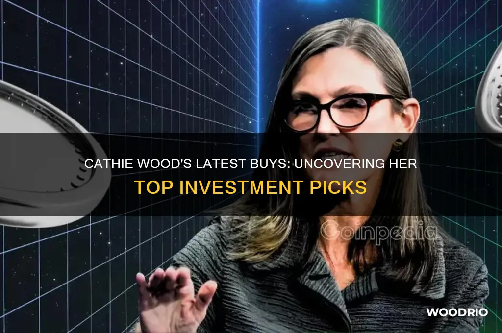 what is cathie wood buying