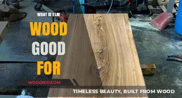 Unlocking the Potential of Elm Wood: A Comprehensive Guide