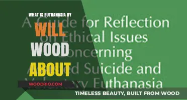 Exploring the Ethical Dimensions of Euthanasia: A Deep Dive into Will Wood's Perspective