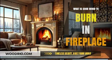 Choosing the Best Wood for Your Fireplace: A Comprehensive Guide