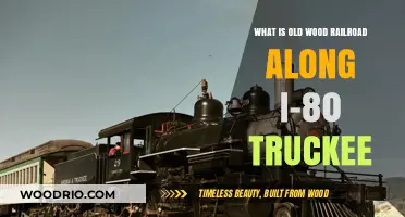 Exploring the Historic Old Wood Railroad Near I-80 in Truckee