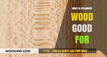 Unlocking the Potential: Sycamore Wood's Versatile Applications Revealed