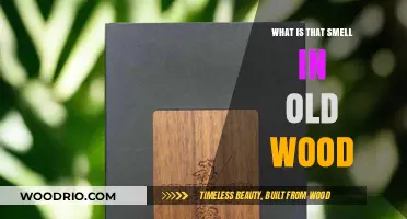 Unveiling the Mysterious Scent of Aged Wood: What's That Smell?