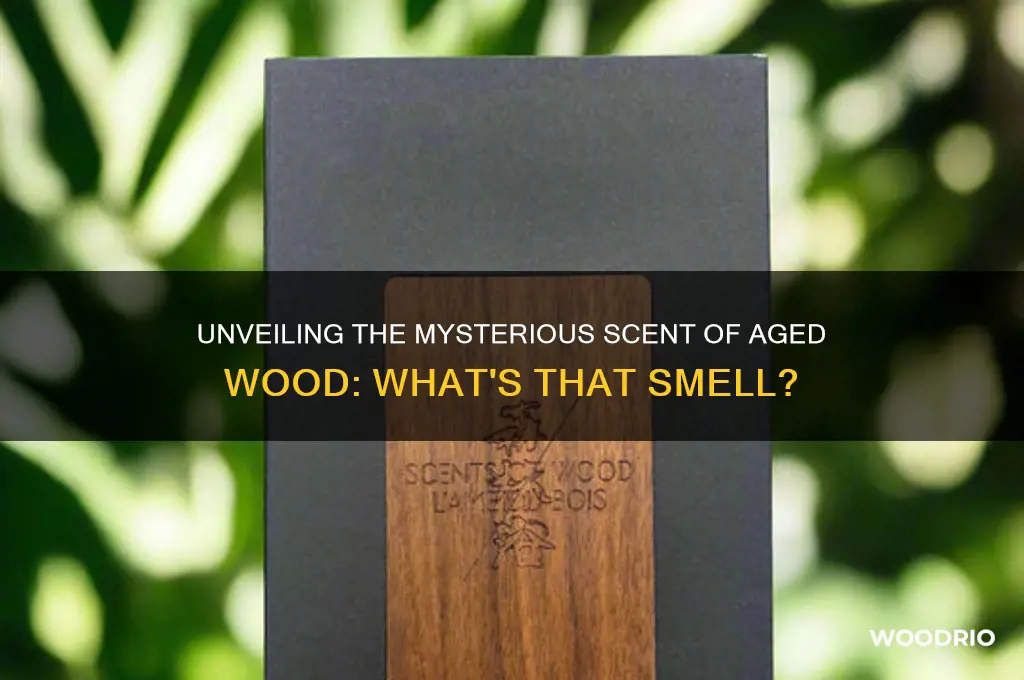 what is that smell in old wood