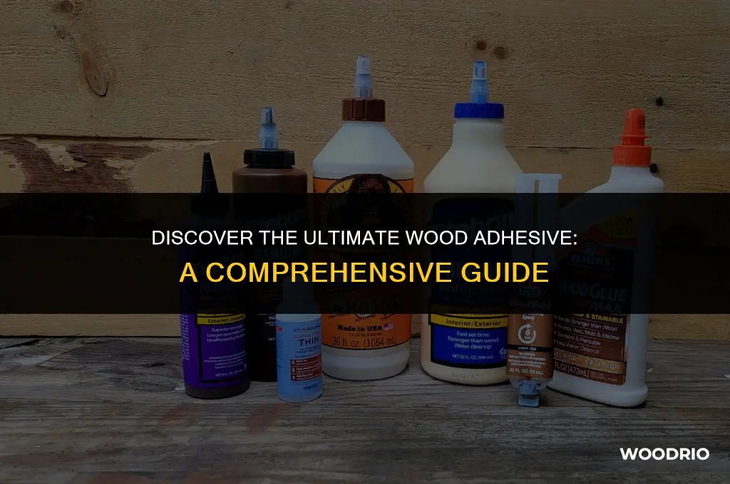 what is the best adhesive for wood
