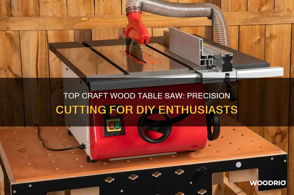 what is the best table saw for craft wood