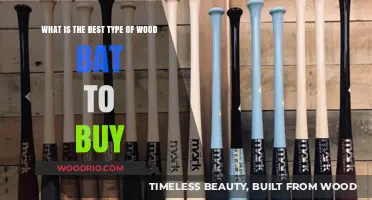 Choosing the Perfect Wood Bat: A Comprehensive Guide to Top Picks