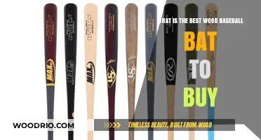 Top Wood Baseball Bats: Expert Picks for Optimal Performance