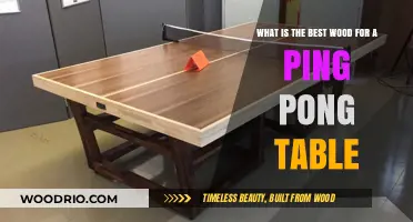 Top Wood Choices for Durable and High-Performance Ping Pong Tables