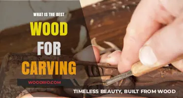 Unveiling the Perfect Wood for Carving: A Craftsman's Guide