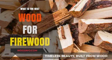 Choosing the Perfect Wood for Firewood: A Comprehensive Guide