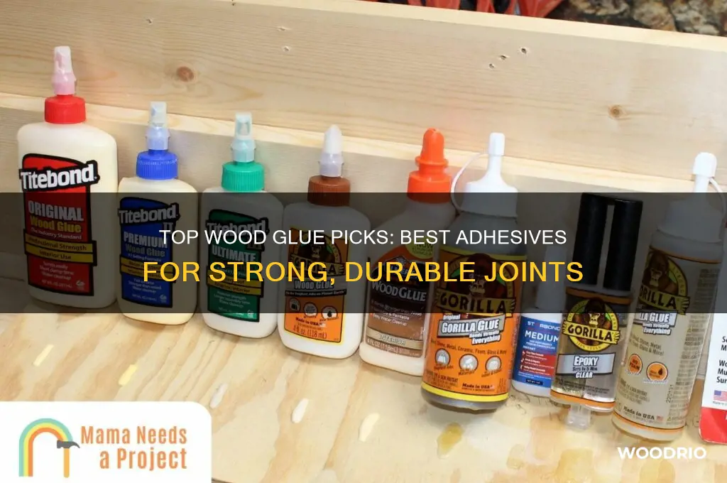 what is the best wood glue to buy