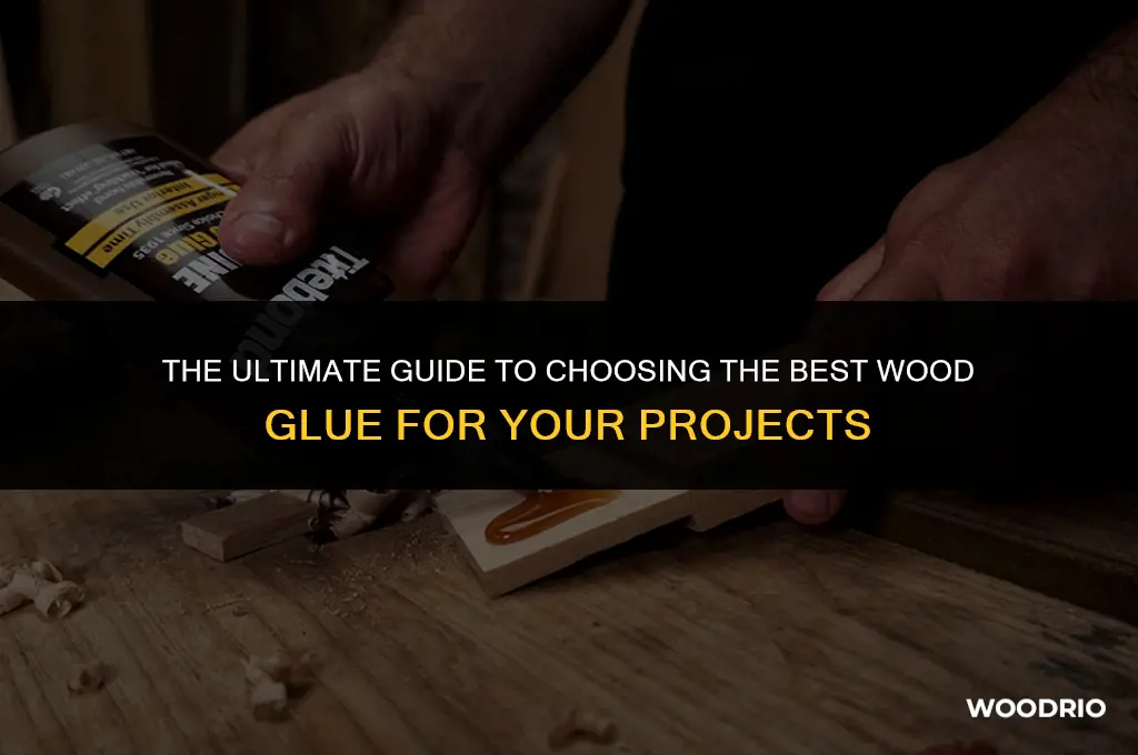 what is the best wood glue