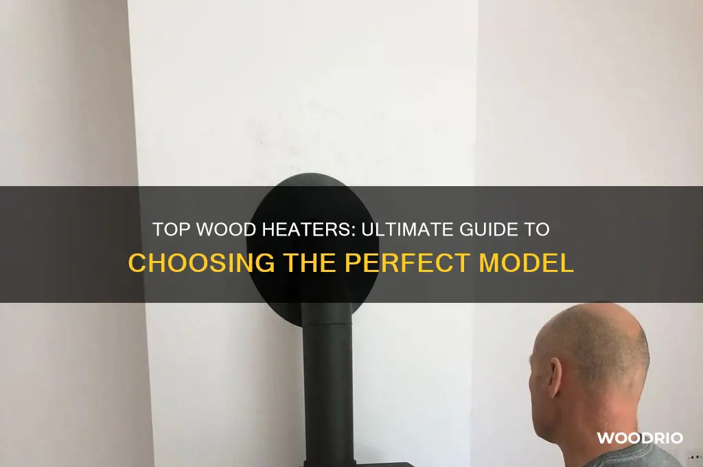 what is the best wood heater to buy