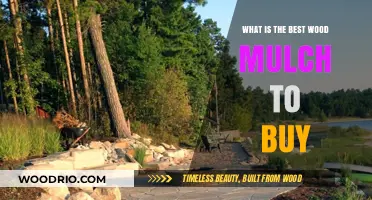 Top Wood Mulch Picks: Enhance Your Garden with the Best Options