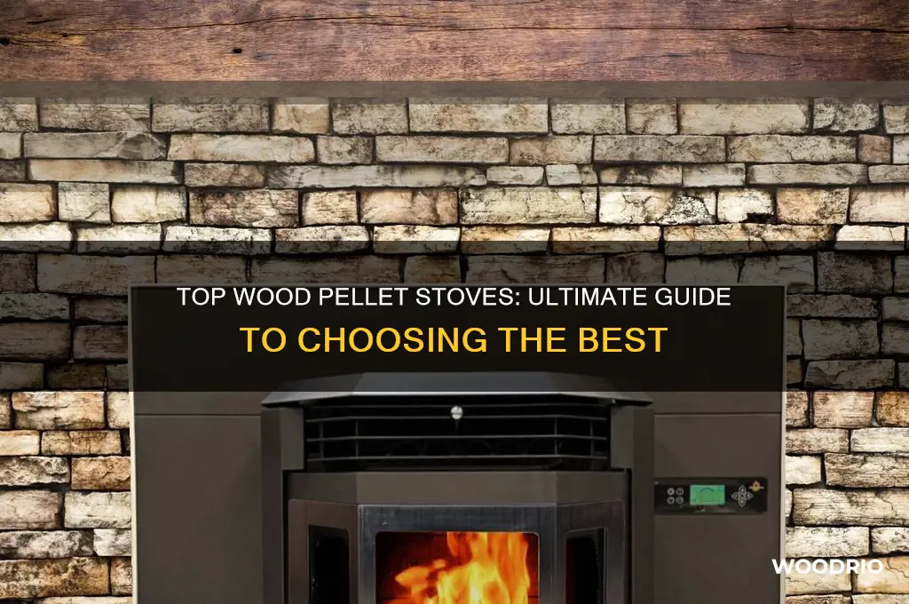 what is the best wood pellet stove to buy