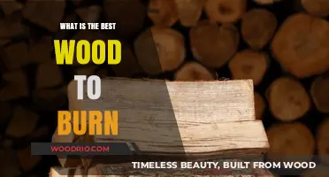 Choosing the Perfect Wood: A Guide to the Best Burning Options