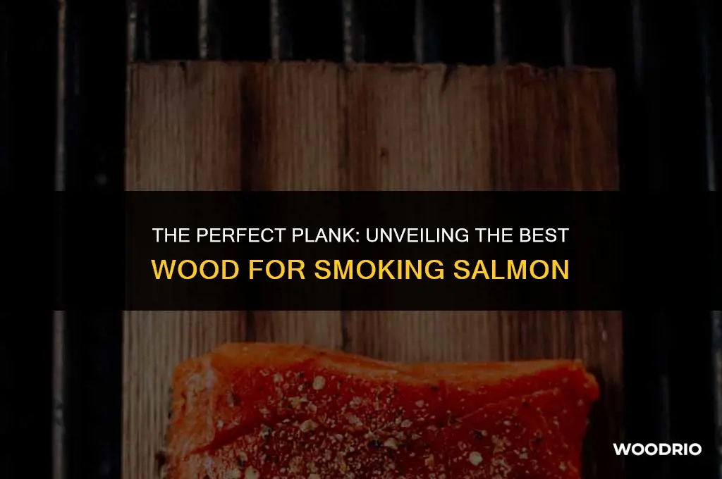 what is the best wood to smoke salmon