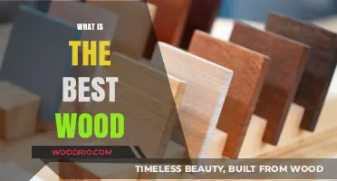 Exploring the Finest Wood Types for Your Next Project