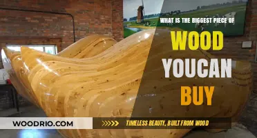 Exploring the Largest Wood Pieces Available for Purchase Today