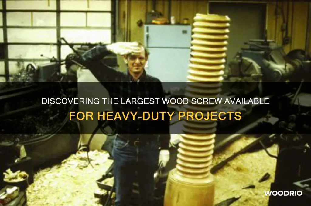 what is the biggest wood screw you can buy