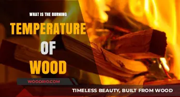 Exploring the Combustion Point: A Guide to Wood's Burning Temperature