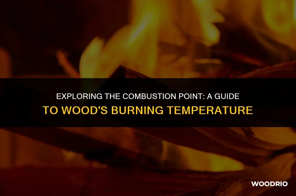 what is the burning temperature of wood
