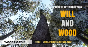 Exploring the Distinctions: Willpower vs. Wood in Philosophy and Life