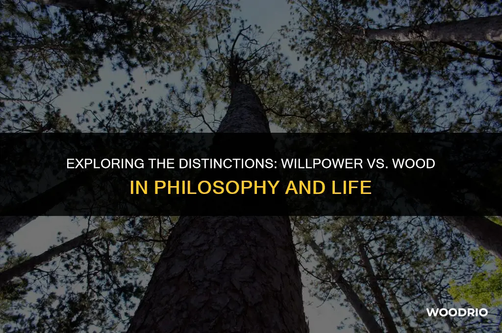 what is the difference between will and wood