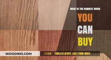 Discovering the World's Toughest Wood: A Buyer's Ultimate Guide