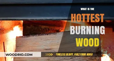 Exploring the Fiercest Flames: Which Wood Burns the Hottest?