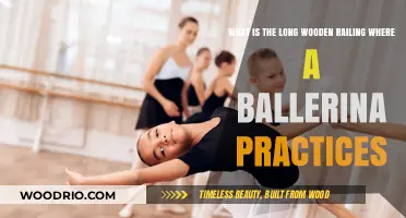 The Ballet Barre: A Ballerina's Essential Wooden Practice Railing