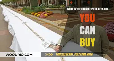 Exploring the Longest Available Wood Pieces for Your Next Big Project