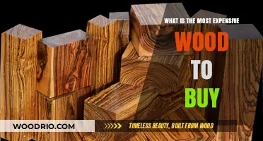 The World's Priciest Timbers: Unveiling the Most Expensive Woods to Buy
