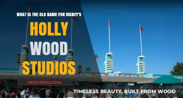 Unveiling Disney's Hollywood Studios' Original Name: A Nostalgic Journey