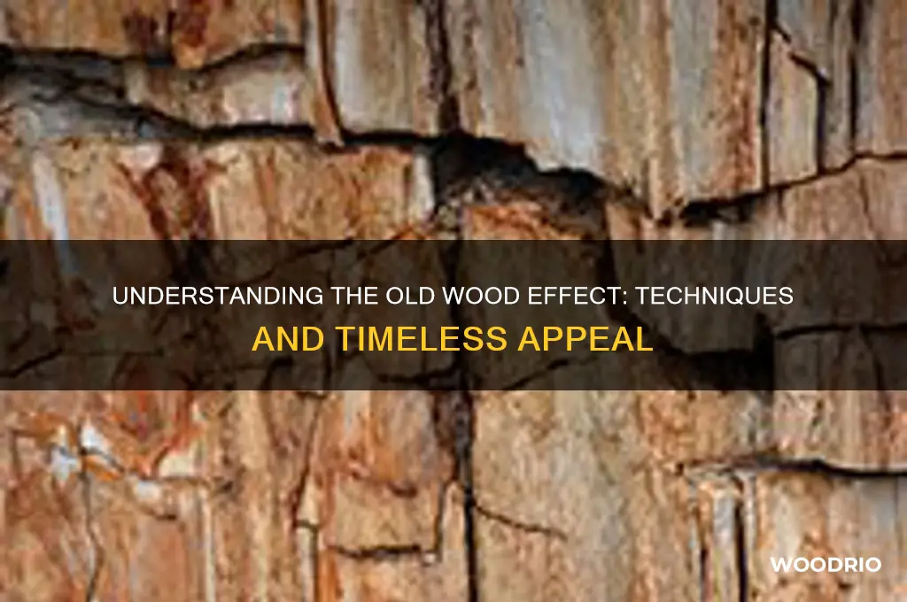 what is the old wood effect