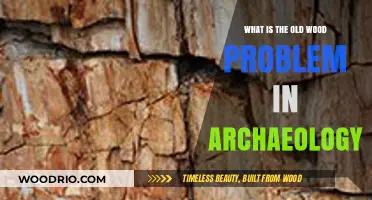 Unraveling Archaeology's Old Wood Problem: Challenges in Radiocarbon Dating
