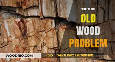 Understanding the Old Wood Problem: Radiocarbon Dating Challenges Explained