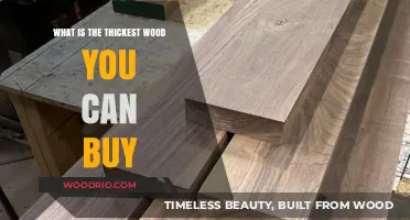 Exploring the Thickest Wood Options Available for Purchase Today