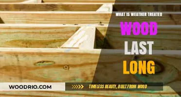 Weather-Treated Wood Durability: How Long Does It Truly Last?