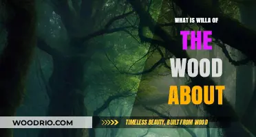 Exploring the Enchanting World of Willa of the Wood