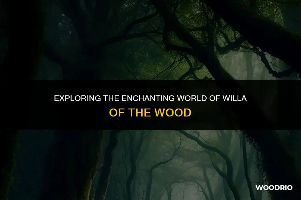 what is willa of the wood about