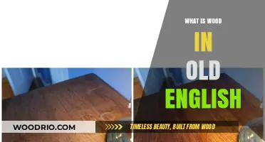 Exploring the Ancient Origins of 'Wood' in Old English Language