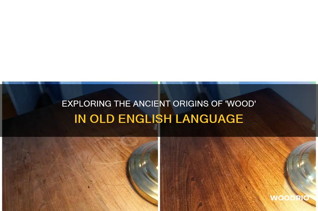what is wood in old english