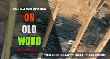 Effective Solutions to Eliminate Mold and Mildew from Aged Wood Surfaces