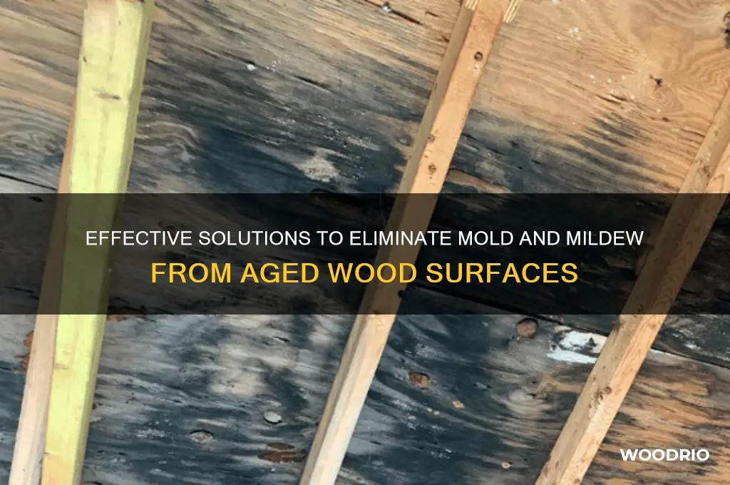 what kills mold and mildew on old wood