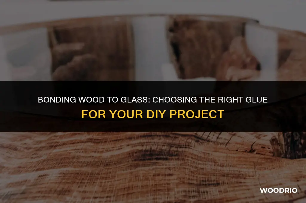what kind of glue will stick wood to glass