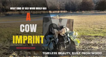 Mysterious Cow Imprint: Identifying Ancient Wood Mold Types and Origins